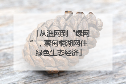从渔网到“绿网”，蔡甸桐湖网住绿色生态经济