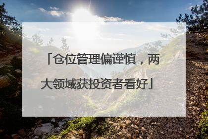 仓位管理偏谨慎，两大领域获投资者看好