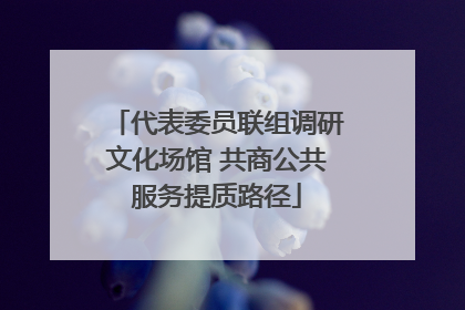 代表委员联组调研文化场馆 共商公共服务提质路径