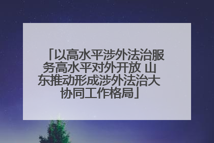 以高水平涉外法治服务高水平对外开放 山东推动形成涉外法治大协同工作格局