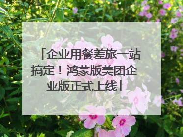 企业用餐差旅一站搞定！鸿蒙版美团企业版正式上线