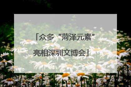 众多“菏泽元素”亮相深圳文博会