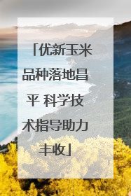优新玉米品种落地昌平 科学技术指导助力丰收