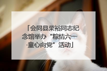 会同县粟裕同志纪念馆举办“粽情六一·童心向党”活动
