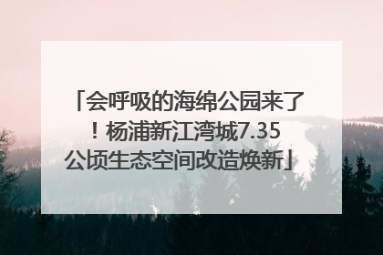会呼吸的海绵公园来了！杨浦新江湾城7.35公顷生态空间改造焕新