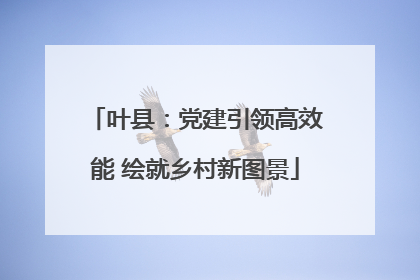 叶县：党建引领高效能 绘就乡村新图景
