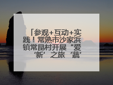 参观+互动+实践！常熟市沙家浜镇常昆村开展“爱‘新’之旅‘蔬’适生活”参观学习活动