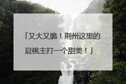 又大又脆！荆州这里的夏桃主打一个甜美！