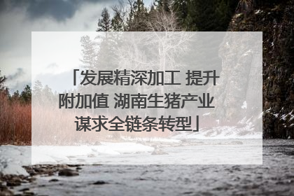 发展精深加工 提升附加值 湖南生猪产业谋求全链条转型