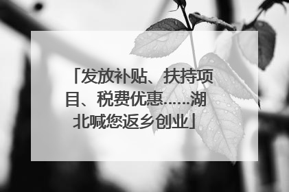 发放补贴、扶持项目、税费优惠……湖北喊您返乡创业