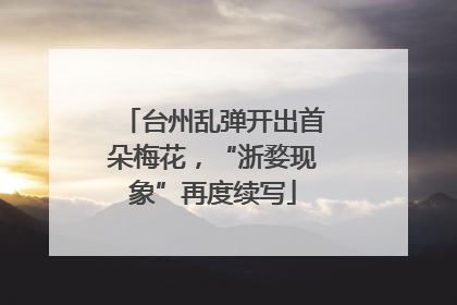 台州乱弹开出首朵梅花，“浙婺现象”再度续写
