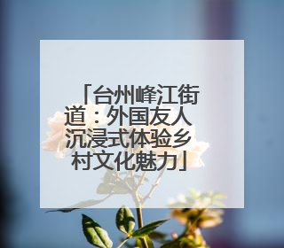 台州峰江街道：外国友人沉浸式体验乡村文化魅力
