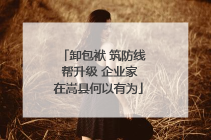 卸包袱 筑防线 帮升级 企业家在嵩县何以有为