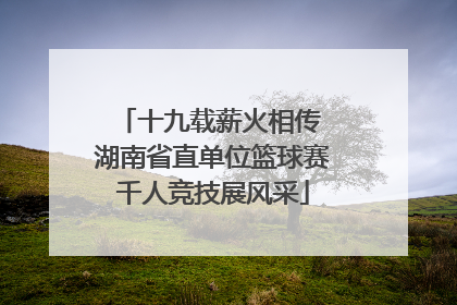 十九载薪火相传 湖南省直单位篮球赛千人竞技展风采