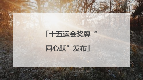 十五运会奖牌“同心跃”发布