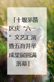 十堰茅箭区庆“六一”文艺汇演暨五育并举成果展圆满落幕