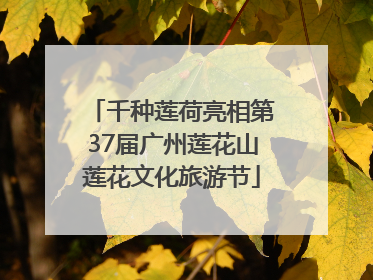 千种莲荷亮相第37届广州莲花山莲花文化旅游节