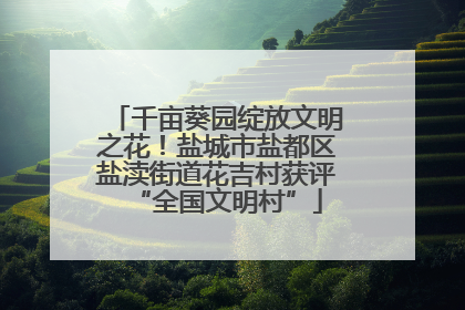千亩葵园绽放文明之花！盐城市盐都区盐渎街道花吉村获评“全国文明村”