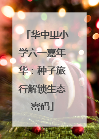 华中里小学六一嘉年华：种子旅行解锁生态密码