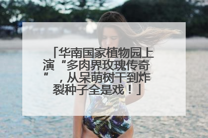 华南国家植物园上演“多肉界玫瑰传奇”，从呆萌树干到炸裂种子全是戏！