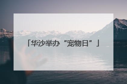 华沙举办“宠物日”