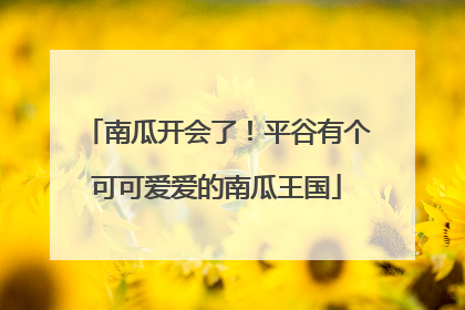南瓜开会了！平谷有个可可爱爱的南瓜王国