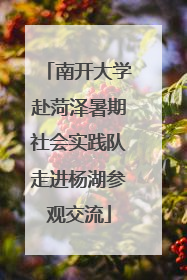 南开大学赴菏泽暑期社会实践队走进杨湖参观交流