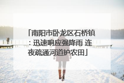 南阳市卧龙区石桥镇：迅速响应强降雨 连夜疏通河道护农田