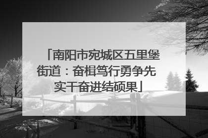南阳市宛城区五里堡街道：奋楫笃行勇争先 实干奋进结硕果