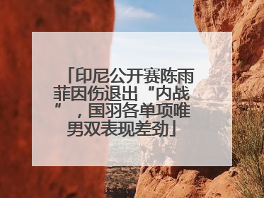 印尼公开赛陈雨菲因伤退出“内战”，国羽各单项唯男双表现差劲