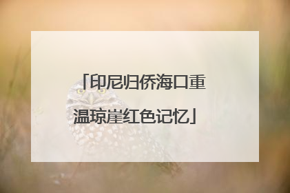 印尼归侨海口重温琼崖红色记忆