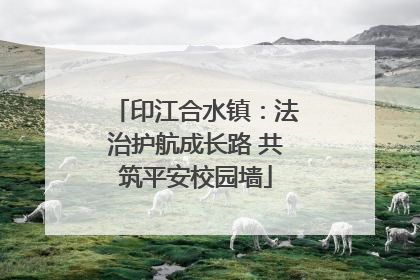 印江合水镇：法治护航成长路 共筑平安校园墙