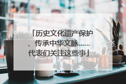 历史文化遗产保护、传承中华文脉……代表们关注这些事