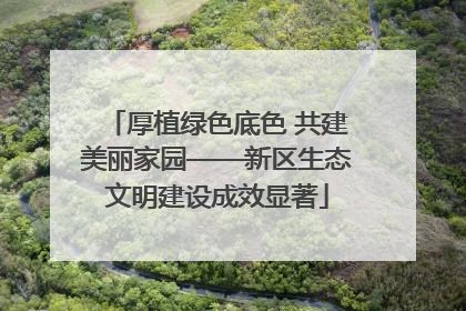 厚植绿色底色 共建美丽家园——新区生态文明建设成效显著