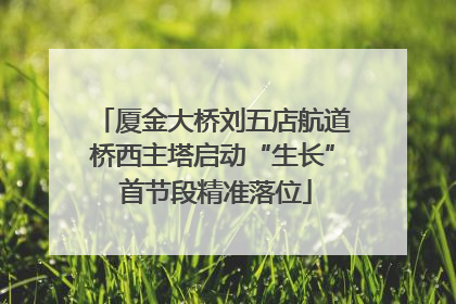 厦金大桥刘五店航道桥西主塔启动“生长” 首节段精准落位