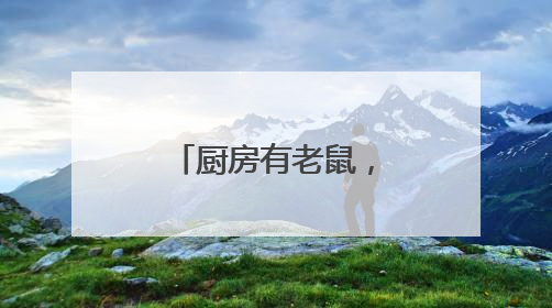 厨房有老鼠，肉上有苍蝇，菜上有虫子，市监局：下架！
