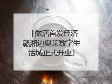做活首发经济 赣湘边奥莱数字生活城正式开业