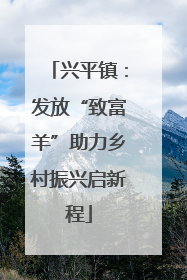 兴平镇：发放“致富羊”助力乡村振兴启新程