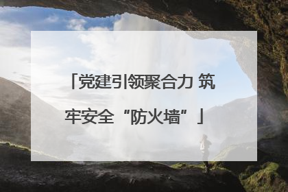 党建引领聚合力 筑牢安全“防火墙”