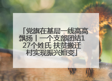 党旗在基层一线高高飘扬丨一个支部团结127个姓氏 扶贫搬迁村实现振兴嬗变
