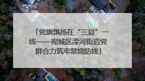 党旗飘扬在“三夏”一线——宛城区溧河街道党群合力筑牢禁烧防线