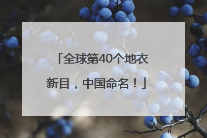 全球第40个地衣新目，中国命名！