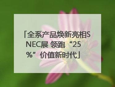 全系产品焕新亮相SNEC展 领跑“25%”价值新时代