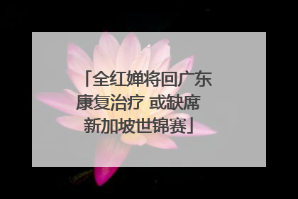 全红婵将回广东康复治疗 或缺席新加坡世锦赛