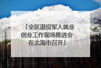 全区退役军人就业创业工作现场推进会在北海市召开
