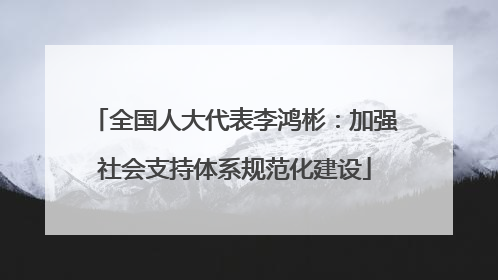 全国人大代表李鸿彬：加强社会支持体系规范化建设