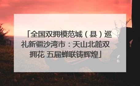 全国双拥模范城（县）巡礼新疆沙湾市：天山北麓双拥花 五届蝉联铸辉煌