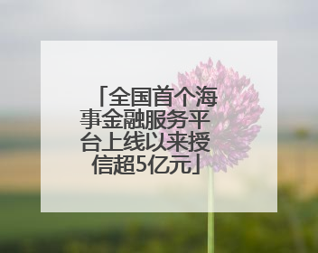 全国首个海事金融服务平台上线以来授信超5亿元