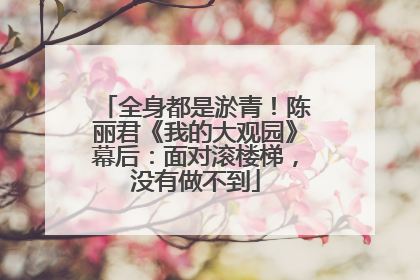 全身都是淤青！陈丽君《我的大观园》幕后：面对滚楼梯，没有做不到
