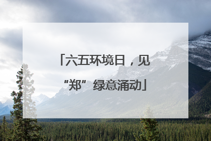 六五环境日，见“郑”绿意涌动